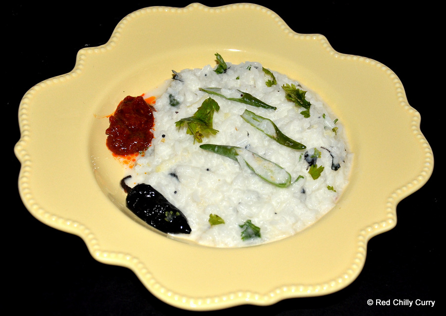 curd rice